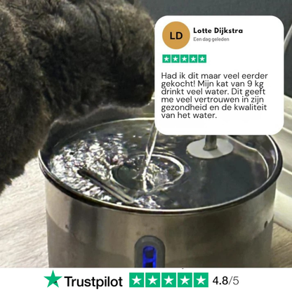 Schützen Sie Ihre Katze vor Dehydrierung und Nierenerkrankungen mit Morbix