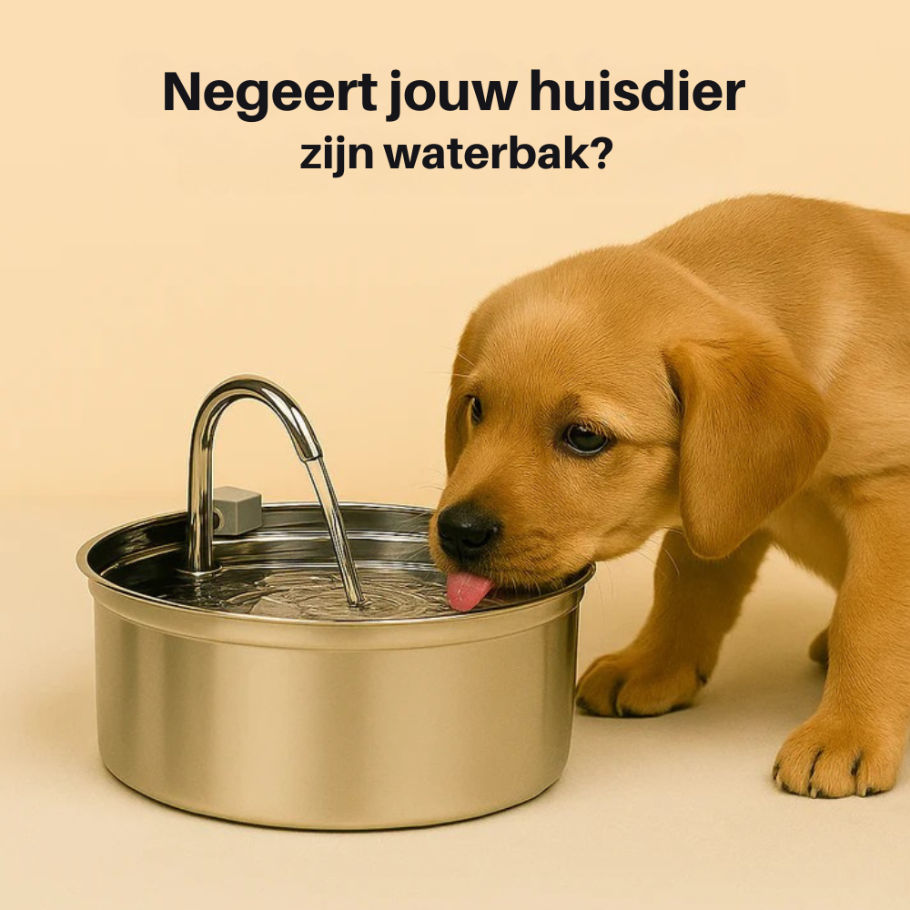 Schenken Sie Ihrem Hund zusätzliche Jahre mit dem dreifachen Filtersystem von Morbix
