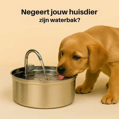 Schenken Sie Ihrem Hund zusätzliche Jahre mit dem dreifachen Filtersystem von Morbix