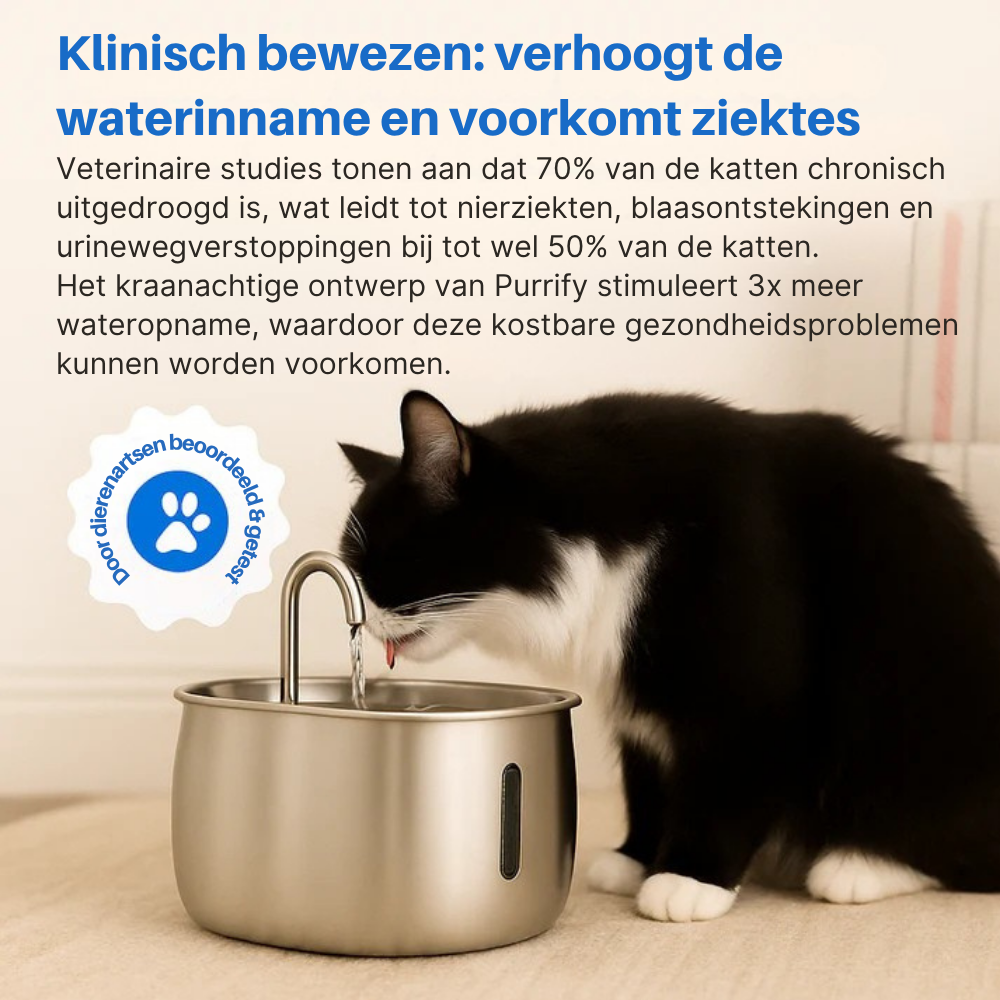 Schützen Sie Ihre Katze vor Dehydrierung und Nierenerkrankungen mit Morbix