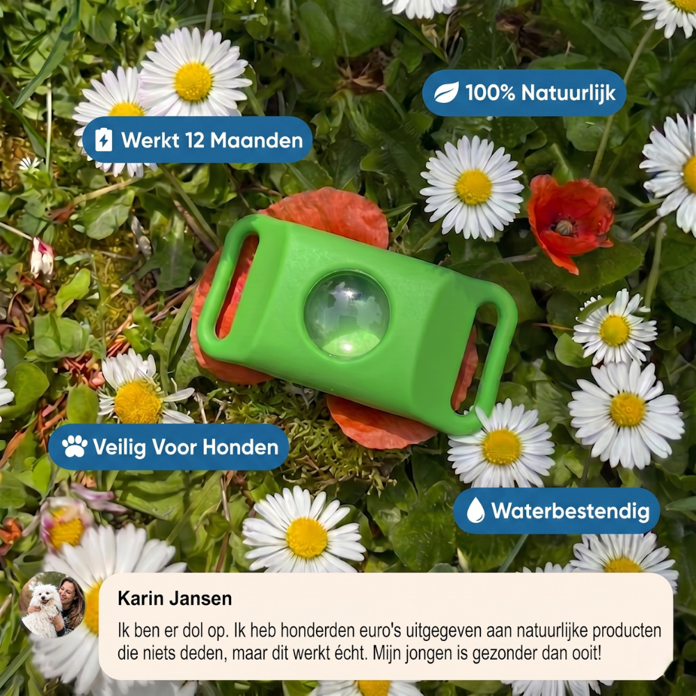 Morbix – Natürliche Floh- & Zeckenmarke · 12 Monate (Kopie)