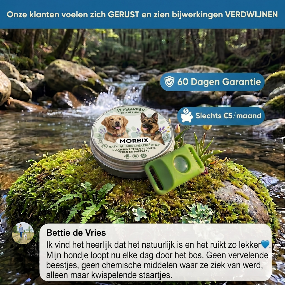 Morbix – Natürliche Floh- & Zeckenmarke · 12 Monate (Kopie)