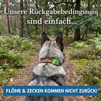 Morbix - Natürliche Floh- & Zeckenplakette · 12 Monate