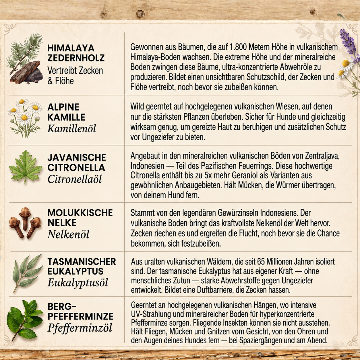 Morbix - Natürliche Floh- & Zeckenplakette · 12 Monate