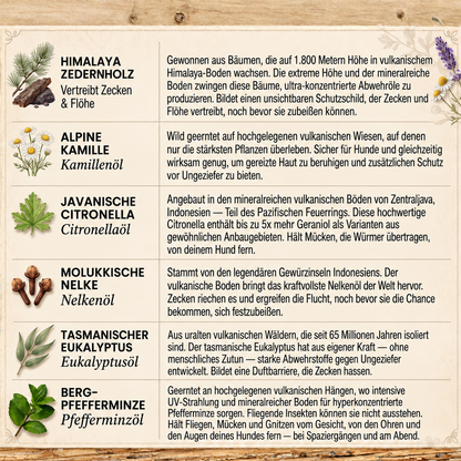 Morbix - Natürliche Floh- & Zeckenplakette · 12 Monate