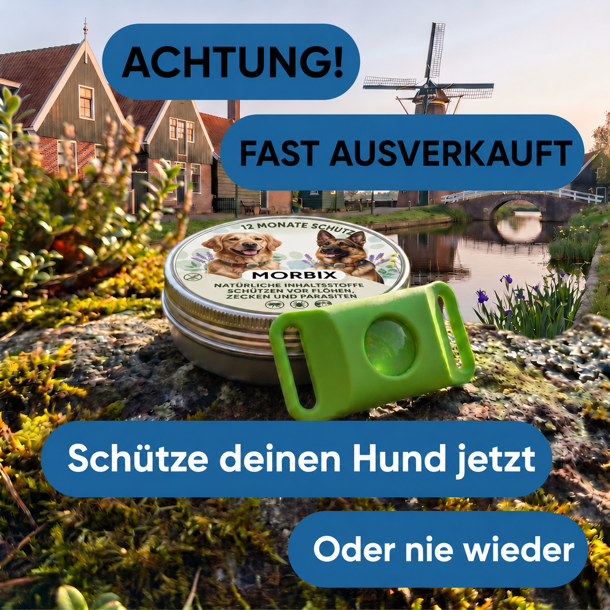 Morbix - Natürliche Floh- & Zeckenplakette · 12 Monate
