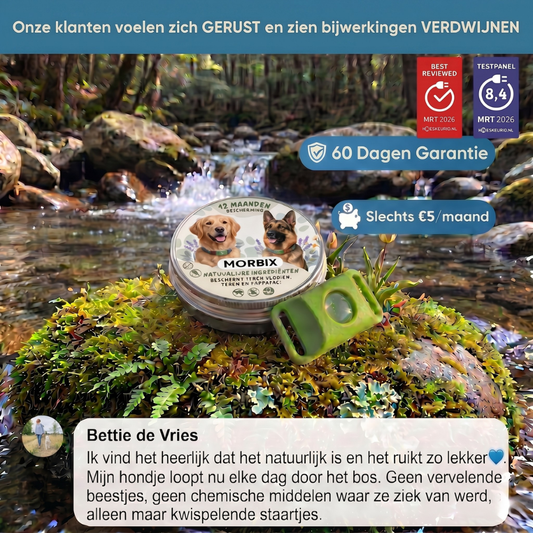 Morbix - Natürliche Floh- & Zeckenplakette · 12 Monate
