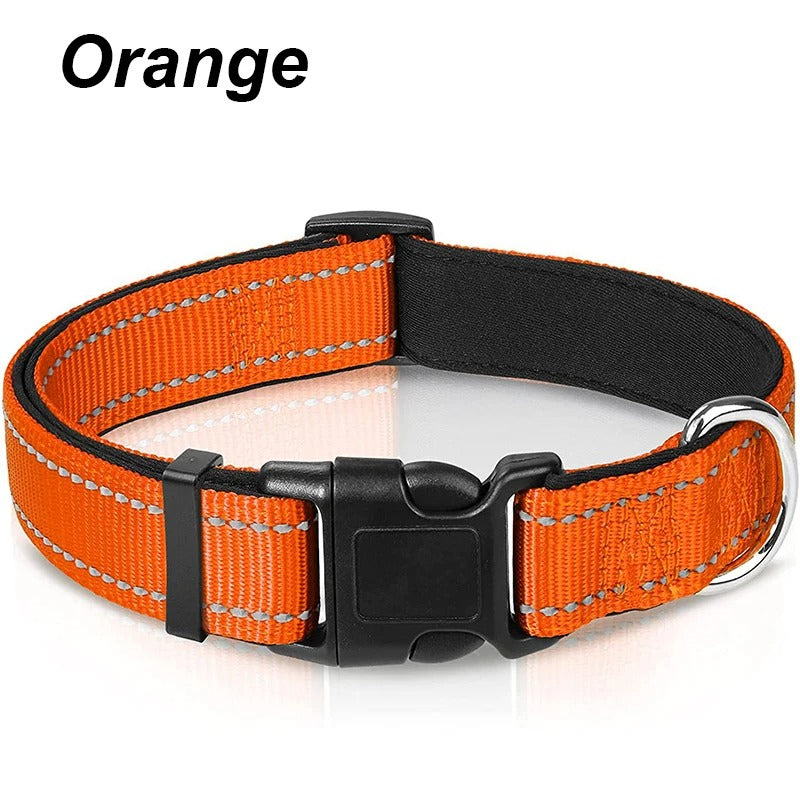 Hundehalsbänder